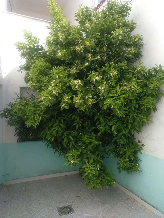 Casa Familiar La Lunara Caces Екстериор снимка